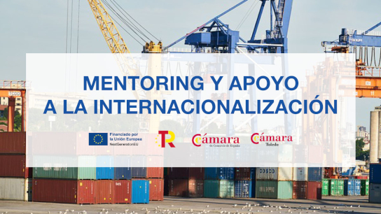 Mentoring Y Apoyo A La Internacionalizacion De La PYME